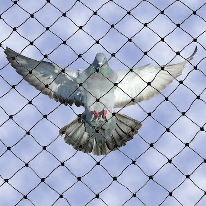 Pet safety net project photo 2